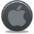 Apple Icon